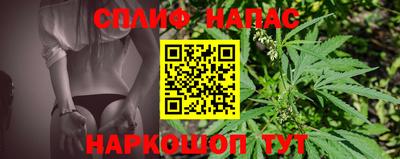 Альфа ПВП Будённовск