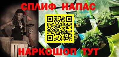 Альфа ПВП Будённовск