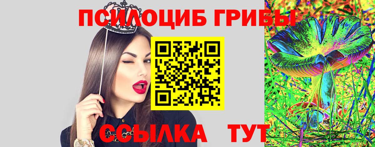 Галлюциногенные грибы GOLDEN TEACHER  Псилоцибиновые грибы Magic Shrooms  Вход с VPN  Петропавловск-Камчатский 