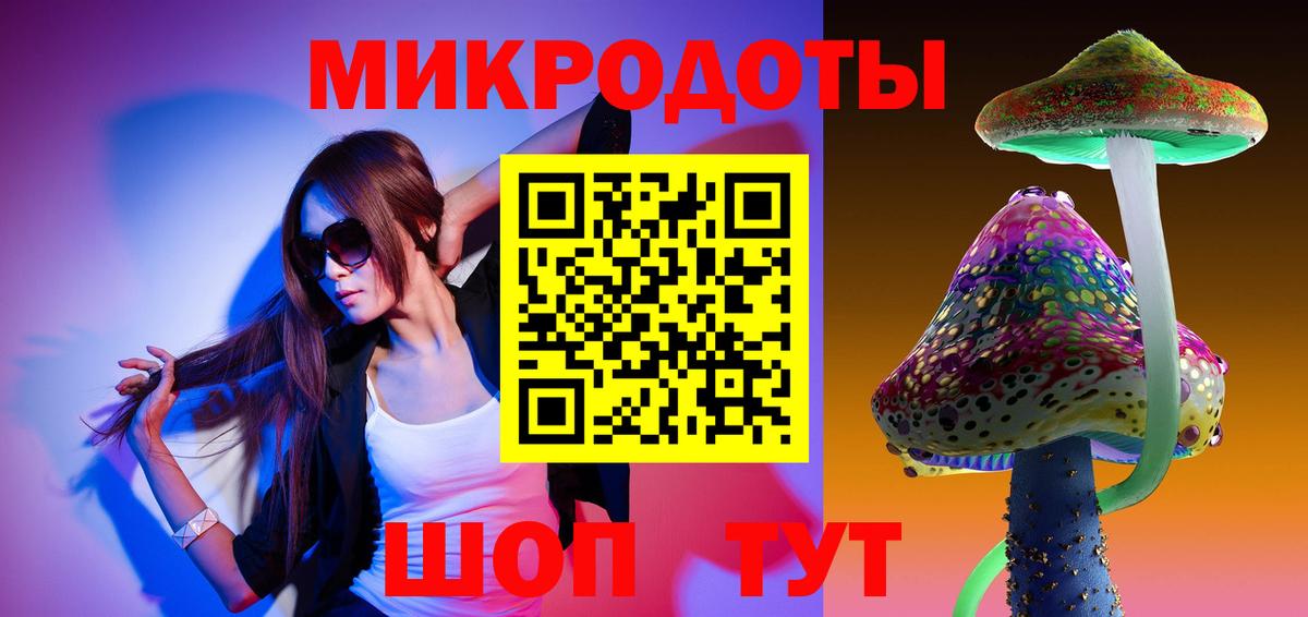Галлюциногенные грибы Psilocybe Петропавловск-Камчатский